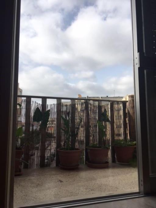 波尔图26/3 Casa Da Musica公寓 外观 照片